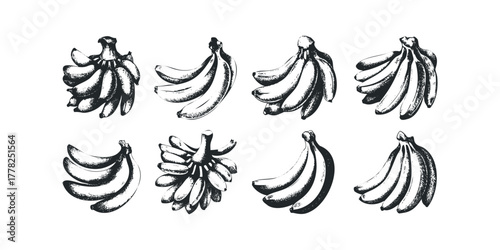 Eight hand-drawn banana clusters in black and white
