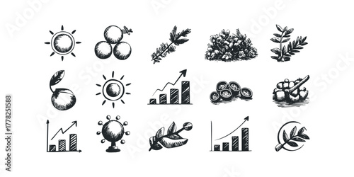 Hand Drawn Icons of Growth Symbols and Nature Elements
