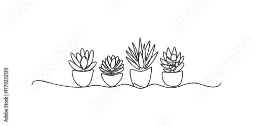 Minimalist line art of four potted succulent plants