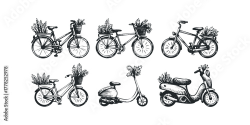 Hand drawn sketches of bicycles and scooters carrying plants