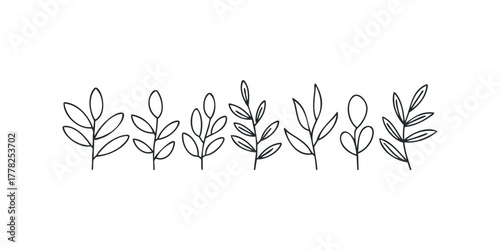 Line art branches with leaves graphic element