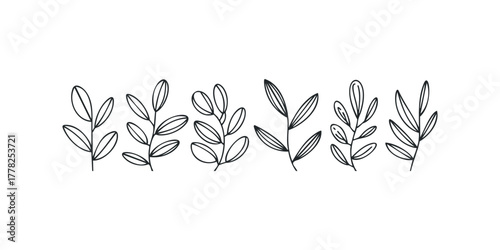Five Hand Drawn Outline Botanical Branch Designs