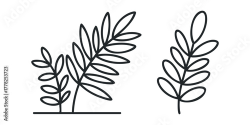 Two minimalist botanical line drawings of leaves