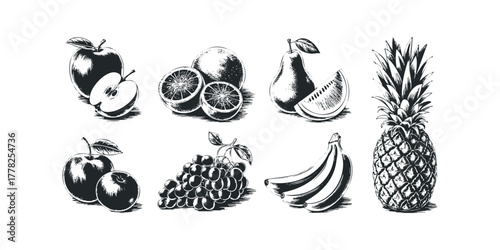 Assorted fresh fruit collection in classic sketch style
