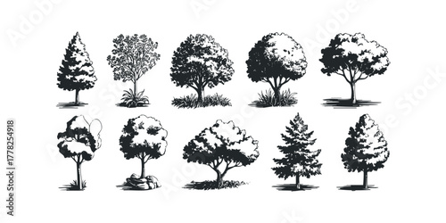 Collection of diverse tree shapes and silhouettes