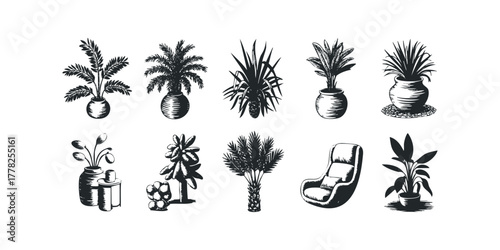 Collection of Black and White Potted Plants and Chair
