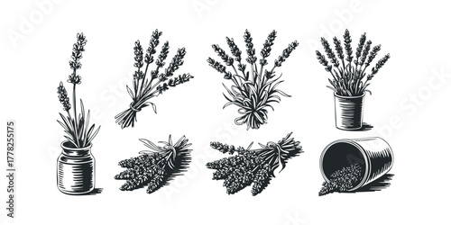 Lavender Sprigs and Bundles Collection