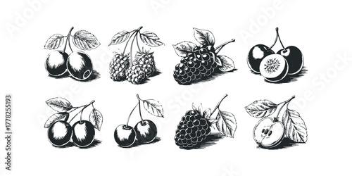 Assortment of Berries and Fruit Line Art