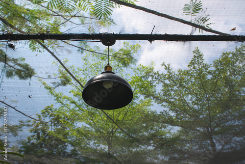 Decorative hanging lights in the garden