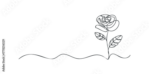 Continuous line drawing of a single rose with leaves