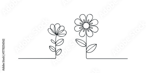 Two simple line flowers with leaves and stems