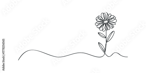 Single line drawing of a delicate flower with leaves