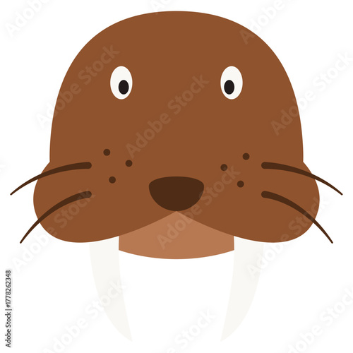 walrus head illustration