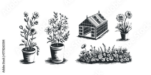 Black and White Botanical Illustrations of Plants and Greenhouse