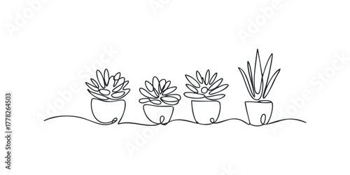 Continuous Line Drawing of Potted Succulent Plants