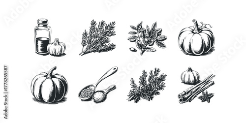 Hand drawn collection of seasonal herbs and spices