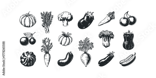 Hand Drawn Collection of Assorted Vegetables and Fruits