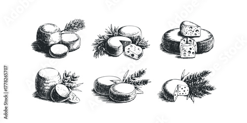 Hand drawn cheese wheels and wedges with foliage accents