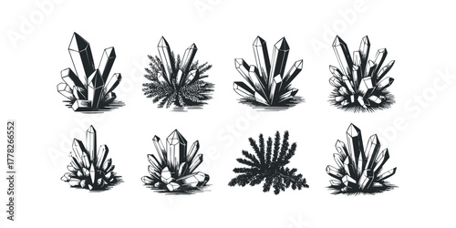 Collection of gemstone clusters and pine branches in linocut style