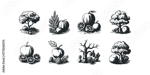 Collection of hand-drawn fruit and tree illustrations