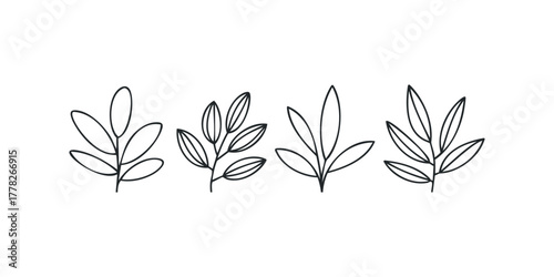 Four Black Outline Branches with Leaves