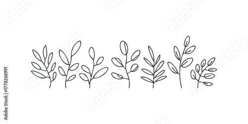 Hand drawn botanical elements with delicate leaves