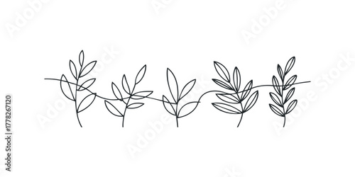 Line art of delicate branches and leaves across white