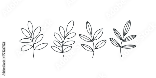 Four botanical line art branches with leaves