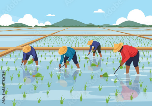 Farmers transplanting rice seedlings in flooded paddy fields under a blue sky
