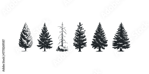 Set of pine tree silhouettes variety of shapes