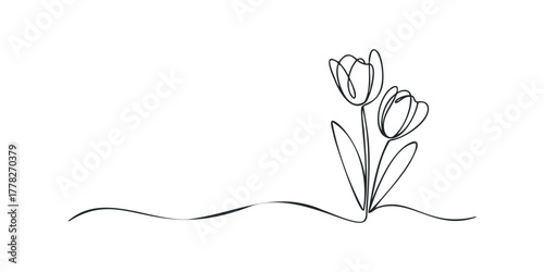 Two stylized tulips with flowing stems on a white background