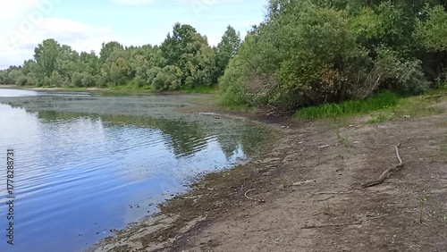 A gently sloping sandy river bank with dense bushes on a cloudy summer day.