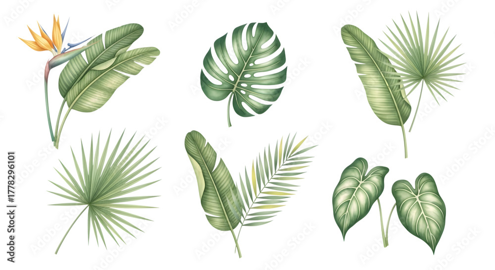 Fototapeta premium Collection of various tropical green leaves and a bird of paradise flower, isolated on transparent background