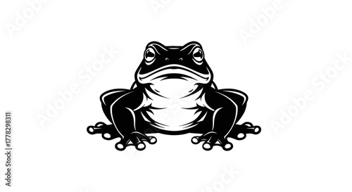 Black frog illustration on white background, amphibian, wild