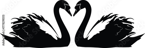 Black swan silhouette vector illustration, symmetrical swans facing each other, romantic love symbol, elegant bird design, heart shape wings, modern graphic template