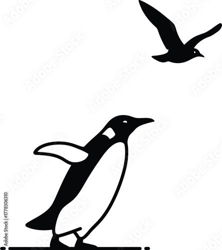Penguin and flying bird illustration
