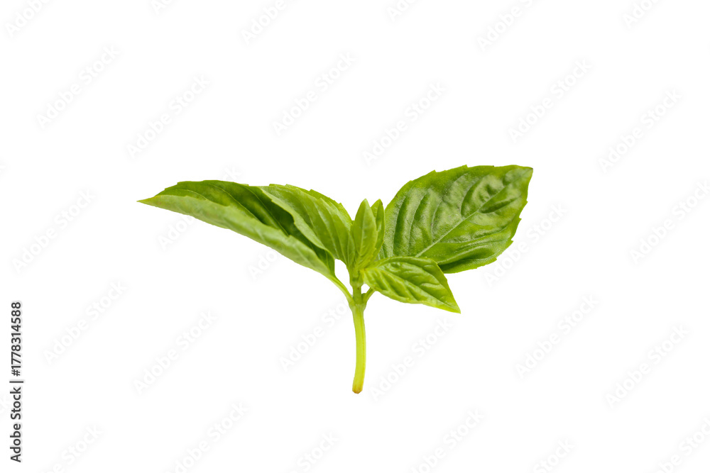 image to crop