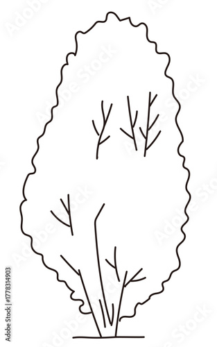 外構・庭植栽のベクターイラスト