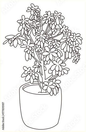 外構・庭植栽のベクターイラスト