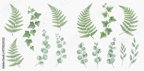 Watercolor illustration set of various green botanical elements including ferns, ivy, and eucalyptus branches on a transparent background.