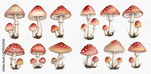Watercolor illustrations of red and white spotted fly agaric mushrooms, depicted in various sizes and groupings on a transparent background.