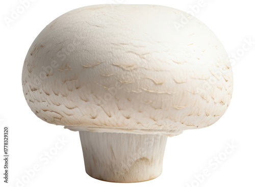 Fresh white button mushroom with a smooth cap and sturdy stem, ready for cooking
