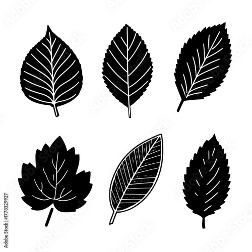 Colorful Balloon Garland Black Background