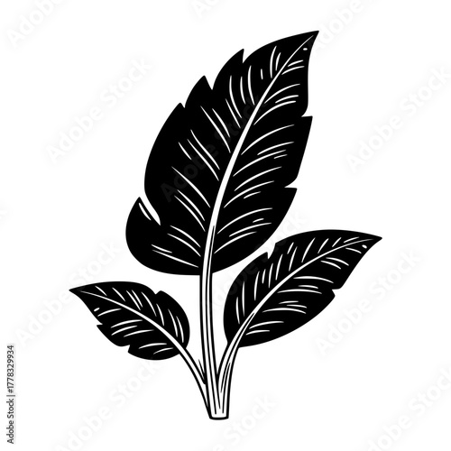 Cartoon Skeleton Chef Preparing Food