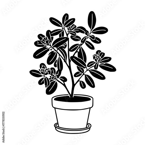 Minimalist Black Silhouette Abstract Plant Illustration