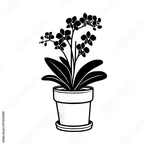 Minimalist Happy Face with Eyes White Background