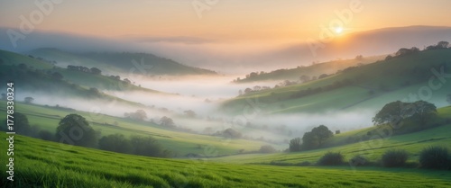 Misty Morning Landscape with Lush Green Hills, Soft Sunlight, and Foggy Atmosphere in Nature's Serenity