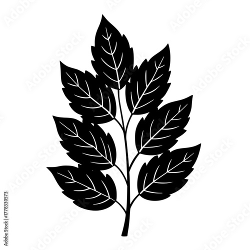 Silhouette Viewing Vibrant Fireworks Night