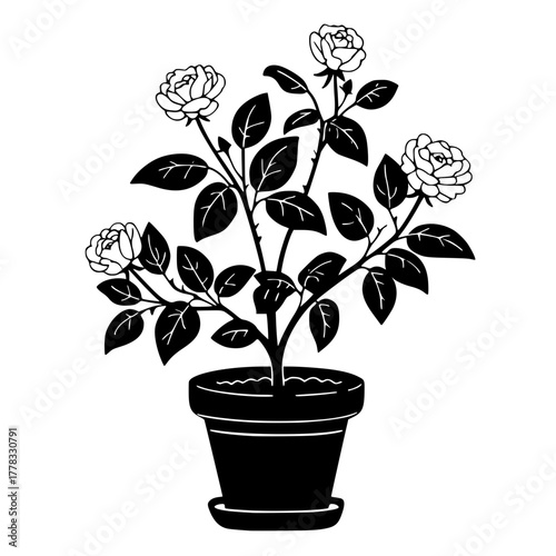 Cartoon Bird Against Plain Black