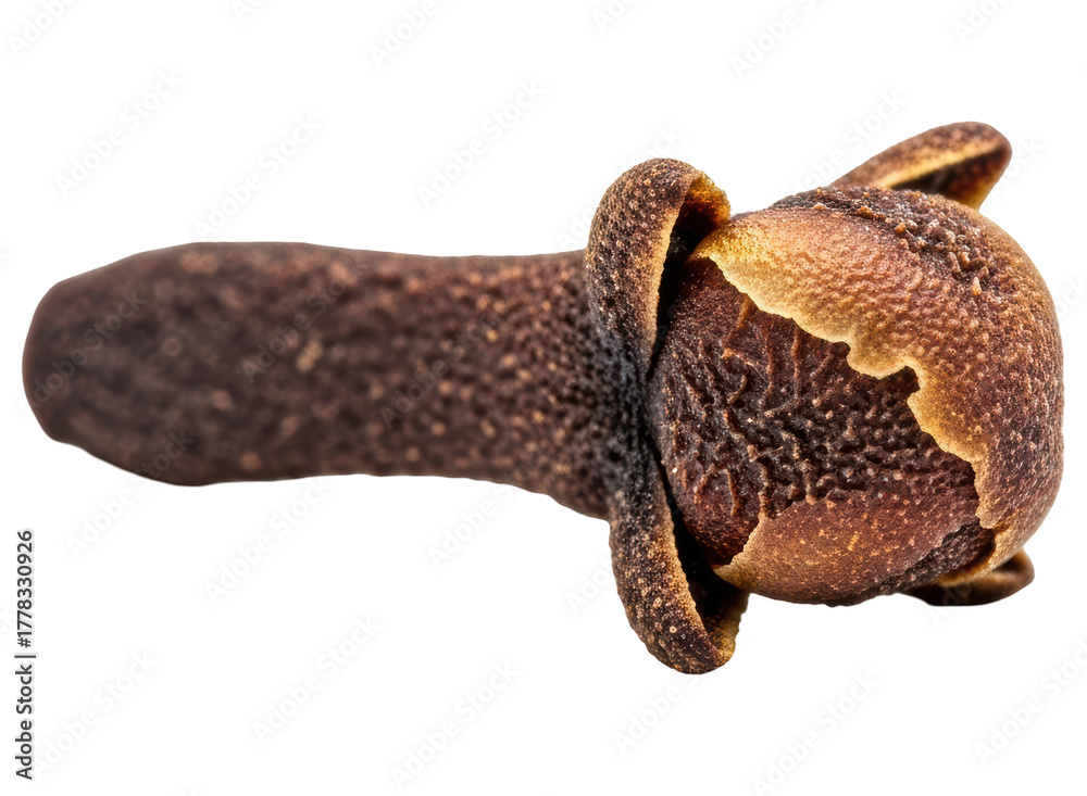 Obraz premium Close up of a single dried clove bud, a popular aromatic spice for cooking